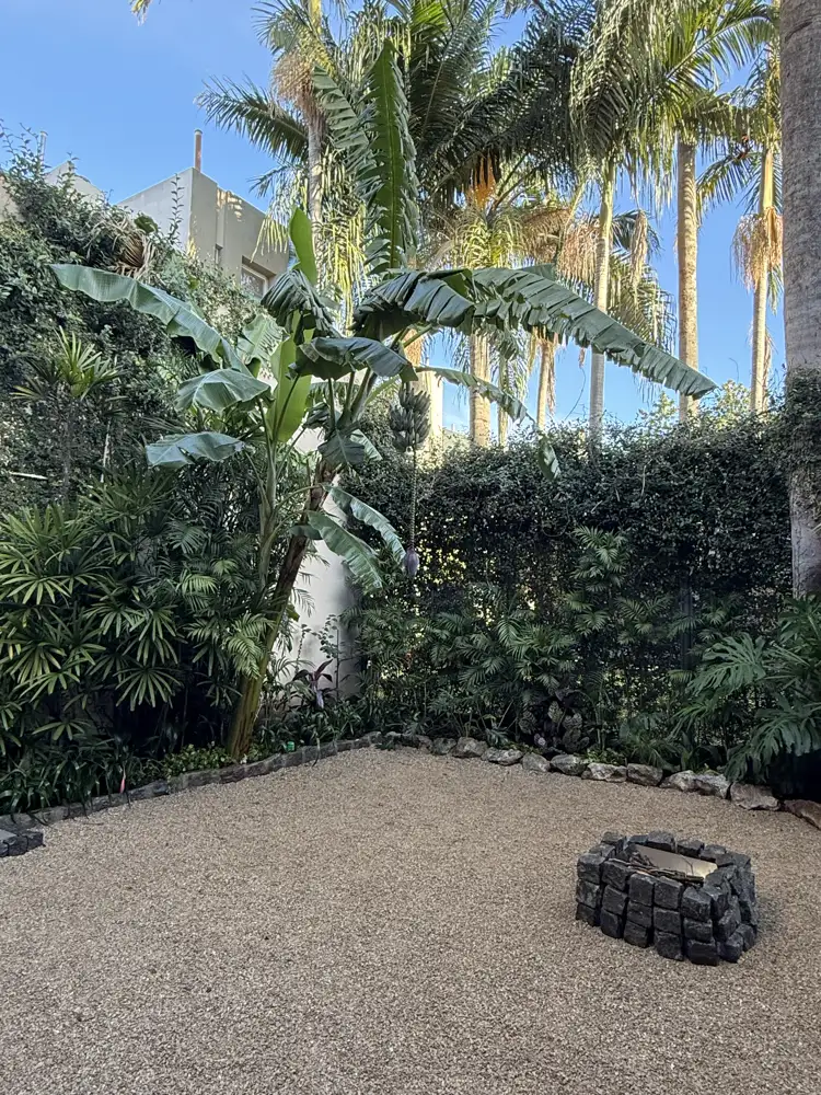 Jardín tropical terminado con palmeras, muro verde y fogonero de piedra