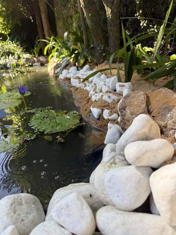 El estanque bordeado de piedras blancas