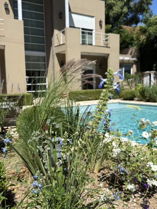 Borde de pileta con gramíneas y flores frente a la casa