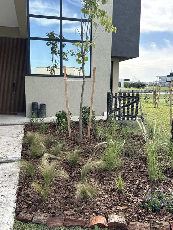 Cantero de gramíneas y un árbol joven frente a la casa en Hudson
