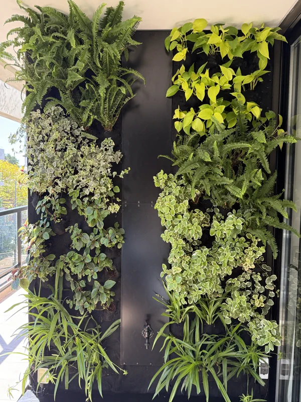 Muro vivo de helechos y plantas colgantes en el balcón