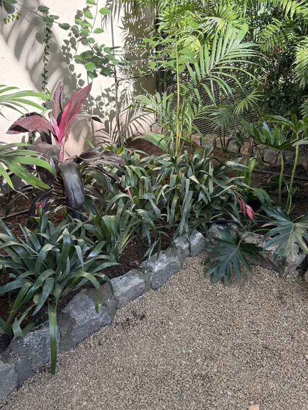 Cantero tropical con cordón de piedra y palmeras