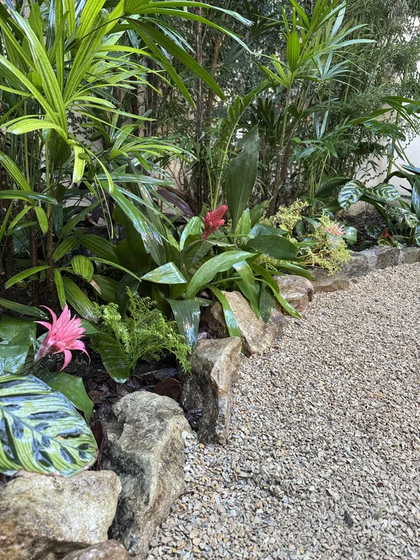 Bromelia rosa en flor entre calatheas y palmeras