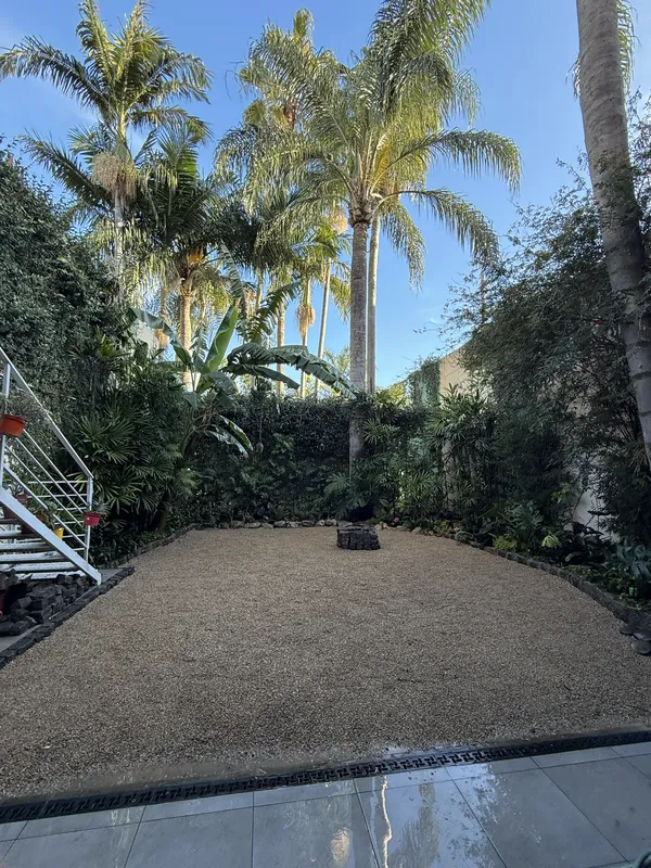 Vista amplia del jardín con palmeras altas y escalera