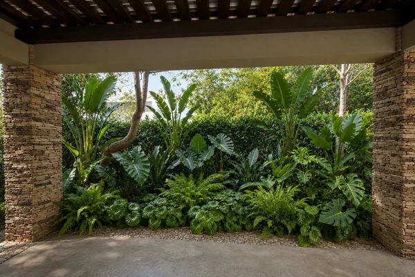 Render de un jardín tropical visto desde una galería de ladrillo y madera