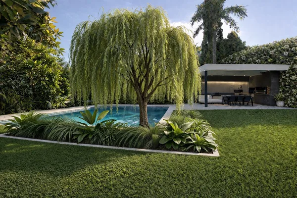 Render de un jardín con sauce llorón, pileta y galería de madera junto a la casa