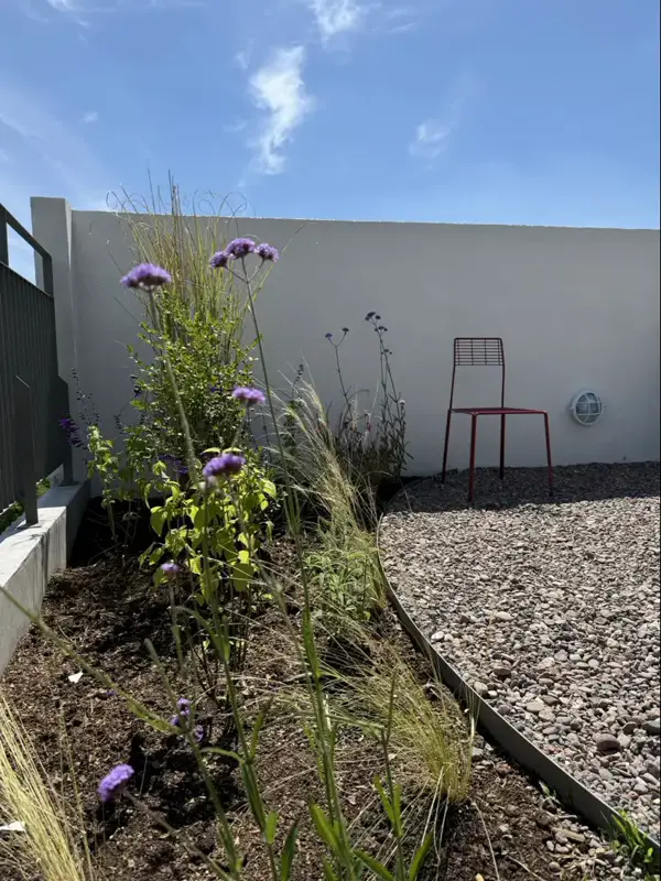 Cantero de verbenas y gramíneas en una terraza con una silla roja