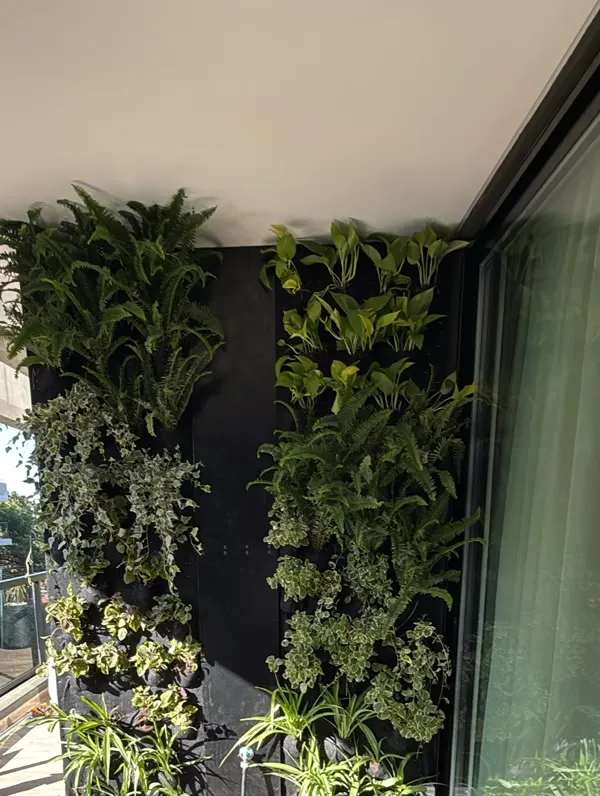 Muro vivo de dos paños con helechos y potos, visto de frente en un balcón